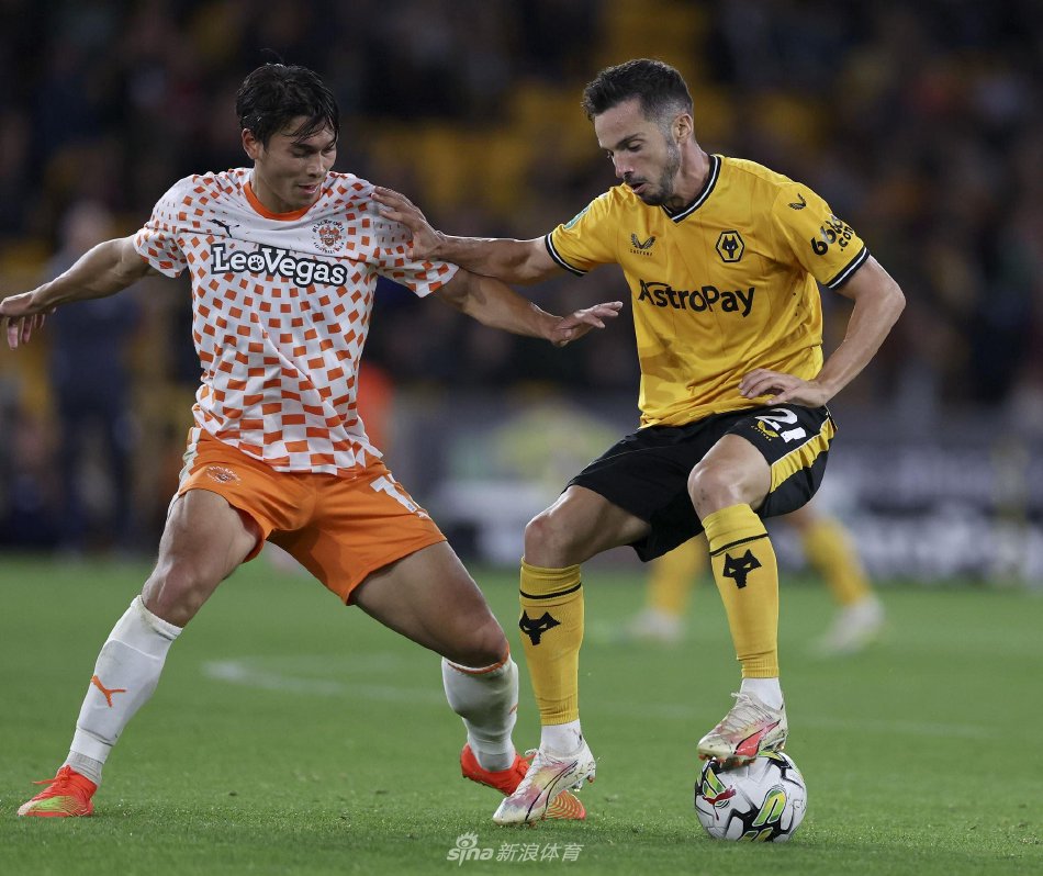 他依靠稳健 他依靠稳健