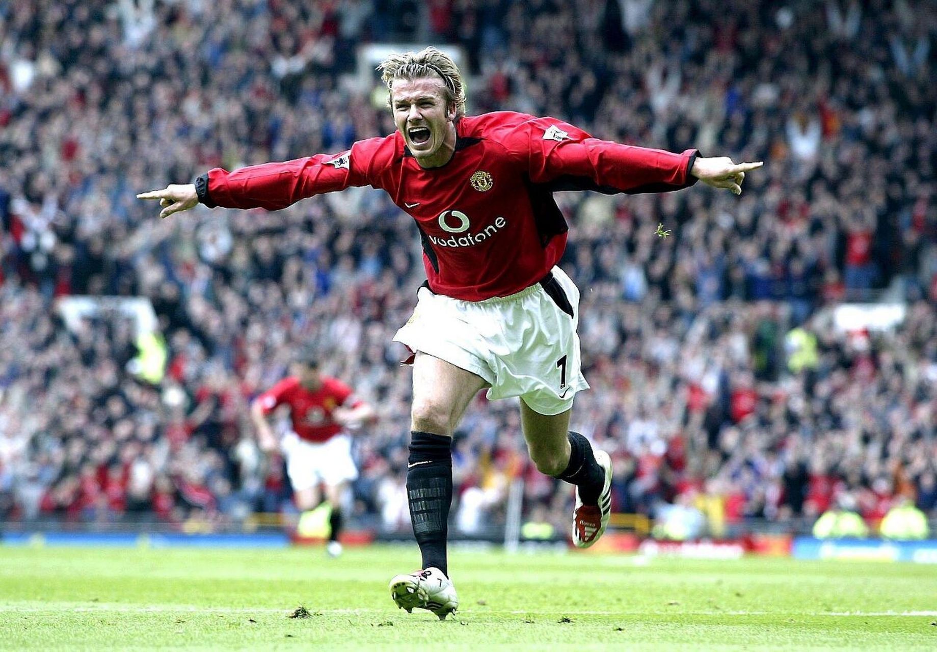 己的优势 己的优势